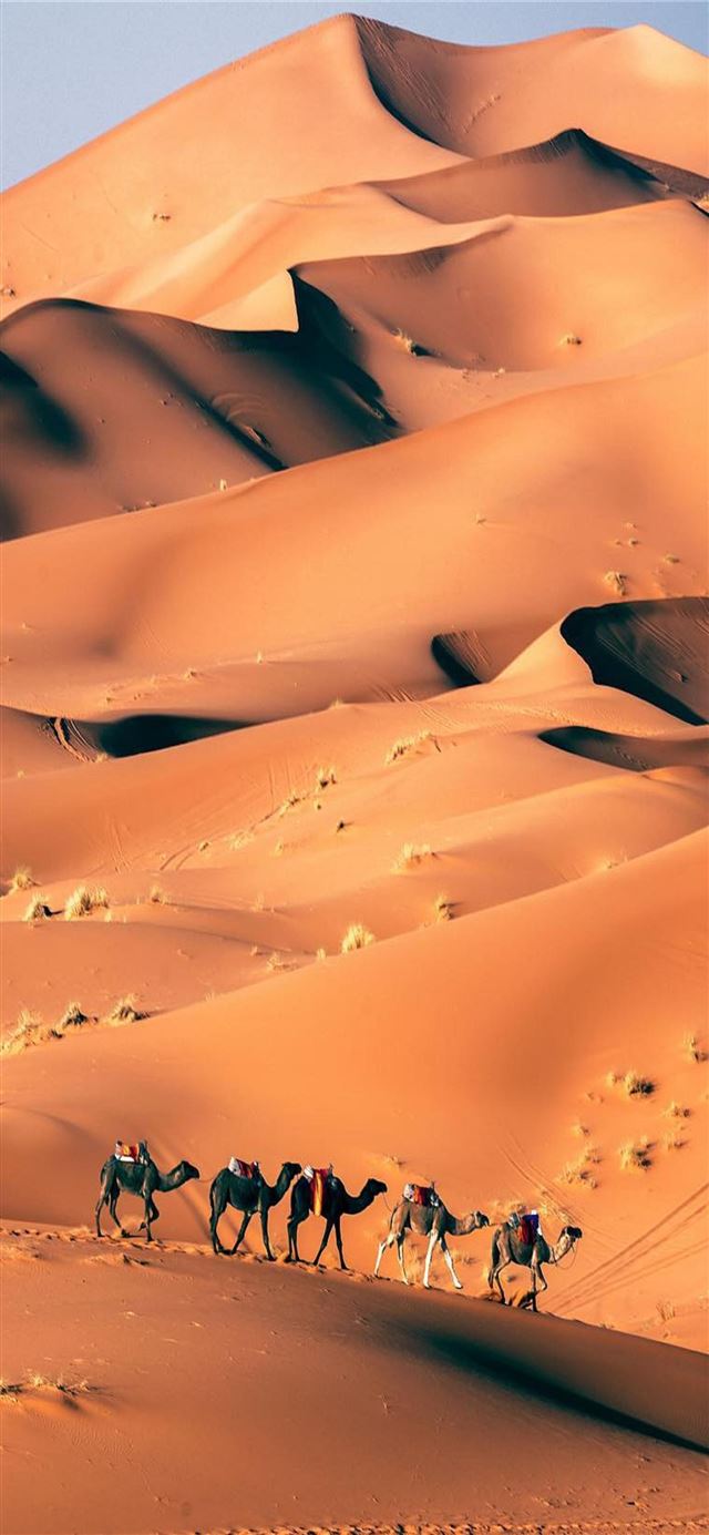 1125x2436 Huacachina - huacachina iPhone X Wallpaper