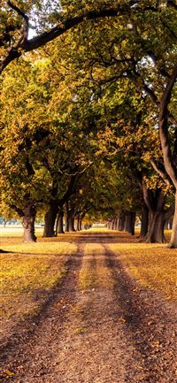 Sutherland Falls wallpaper