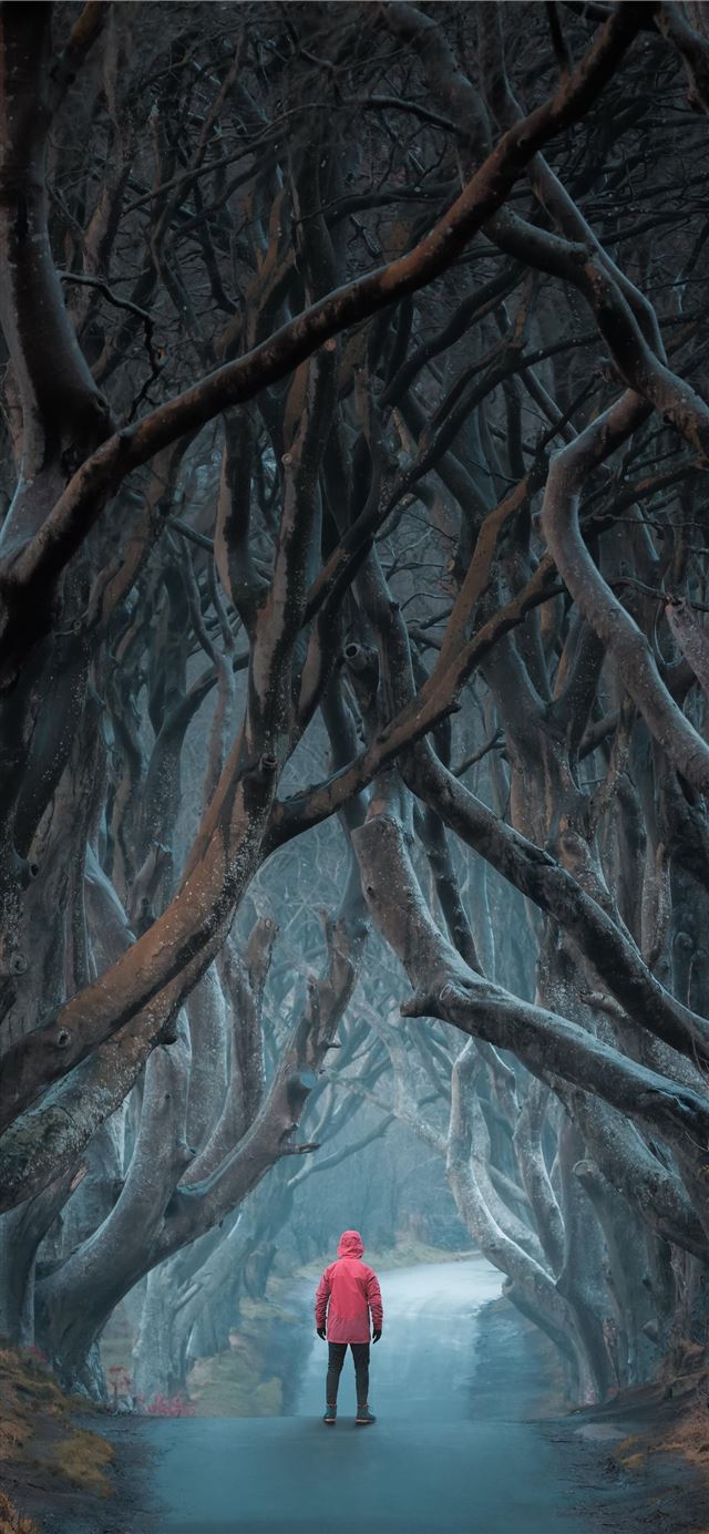 1125x2436 Dark Hedges - northern ireland iPhone X Wallpaper