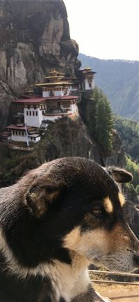Tiger's Nest Monastery wallpaper