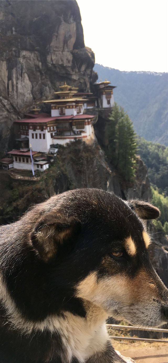 1125x2436 Tiger's Nest Monastery -  iPhone X Wallpaper