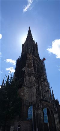 Freudenberg wallpaper