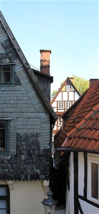 Freudenberg wallpaper