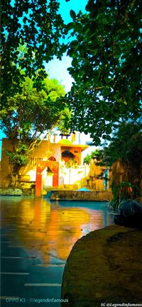 Freudenberg wallpaper