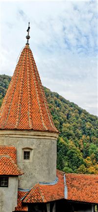 Freudenberg wallpaper