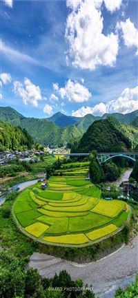 Rice Terraces of Vietnam wallpaper