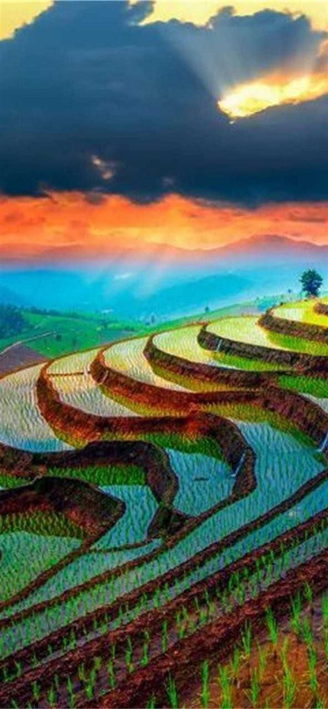 1125x2436 Rice Terraces of Vietnam - 100 most beautiful places to visit iPhone X Wallpaper