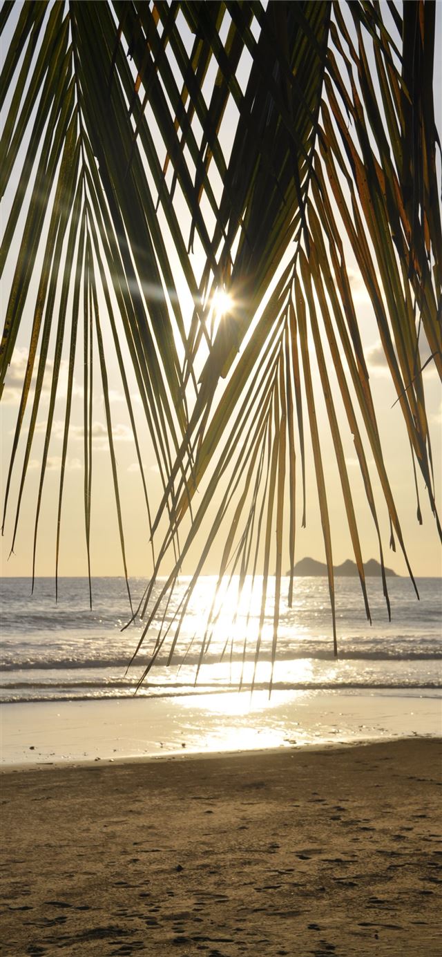 1125x2436 Maranhenses National Park - brazil iPhone X Wallpaper