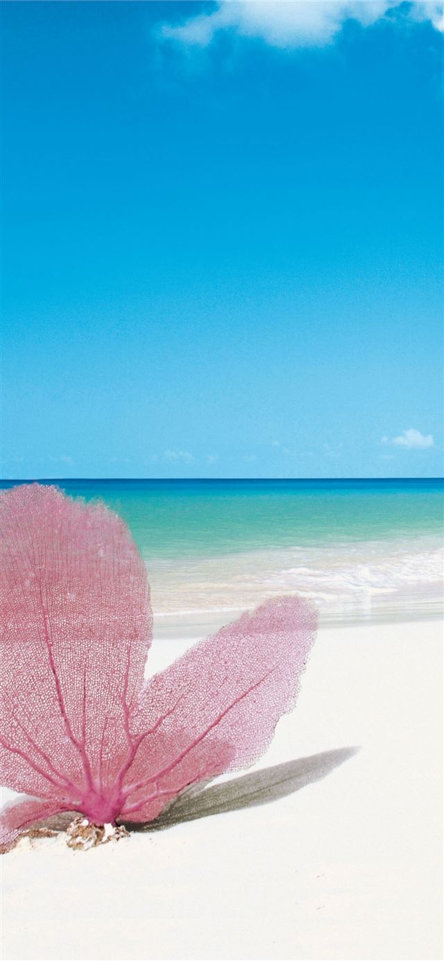 1125x2436 Providenciales - turks and caicos islands iPhone X Wallpaper