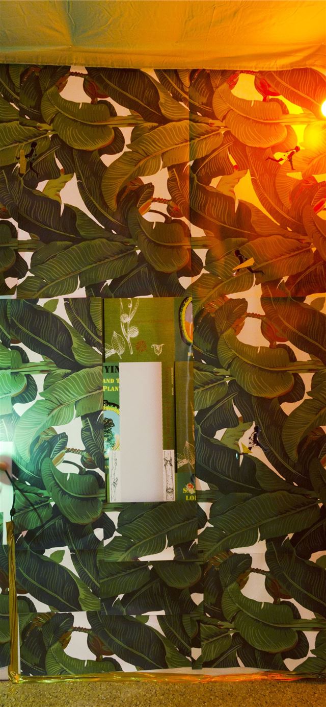 1125x2436 Dominican Republic - dominican republic iPhone X Wallpaper