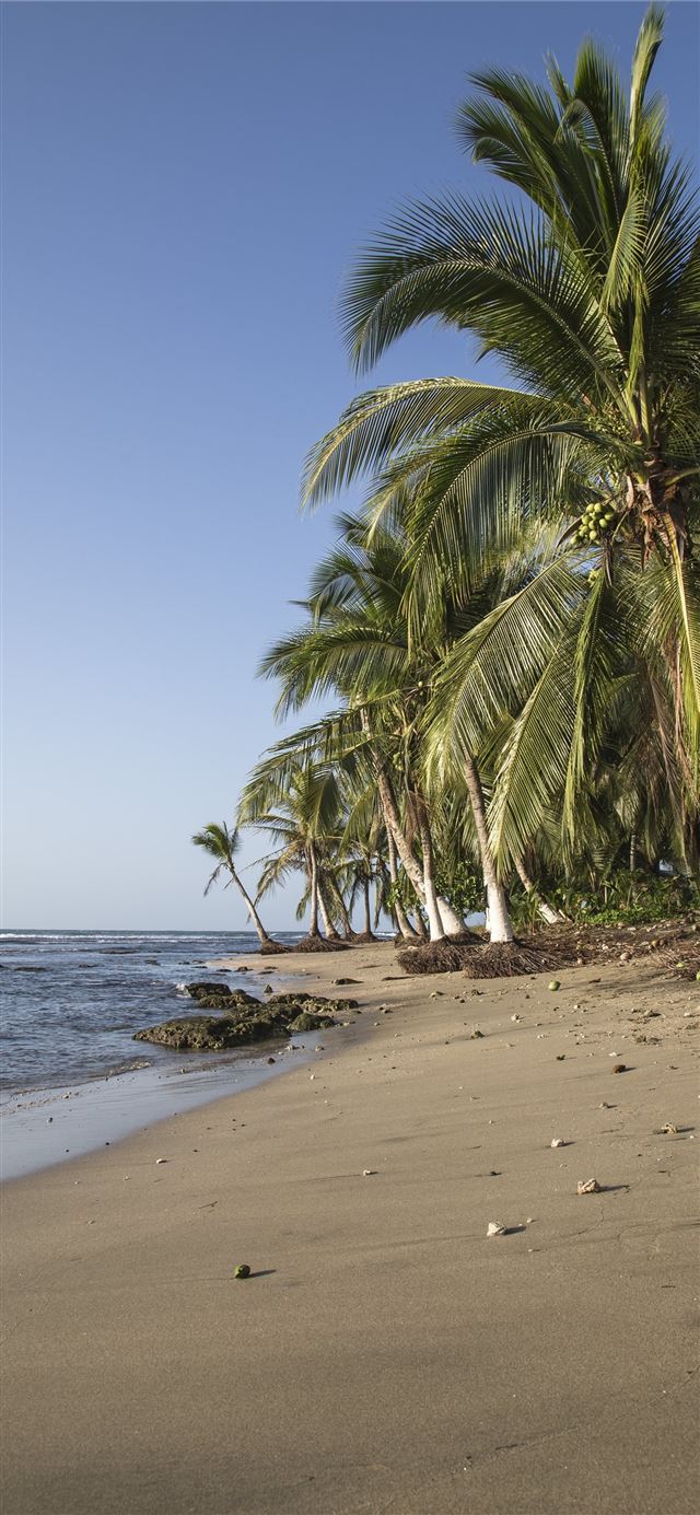 1125x2436 Dominican Republic - dominican republic iPhone X Wallpaper