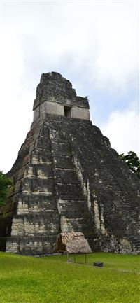 The Mayan Ruins of Tikal Guatemala wallpaper
