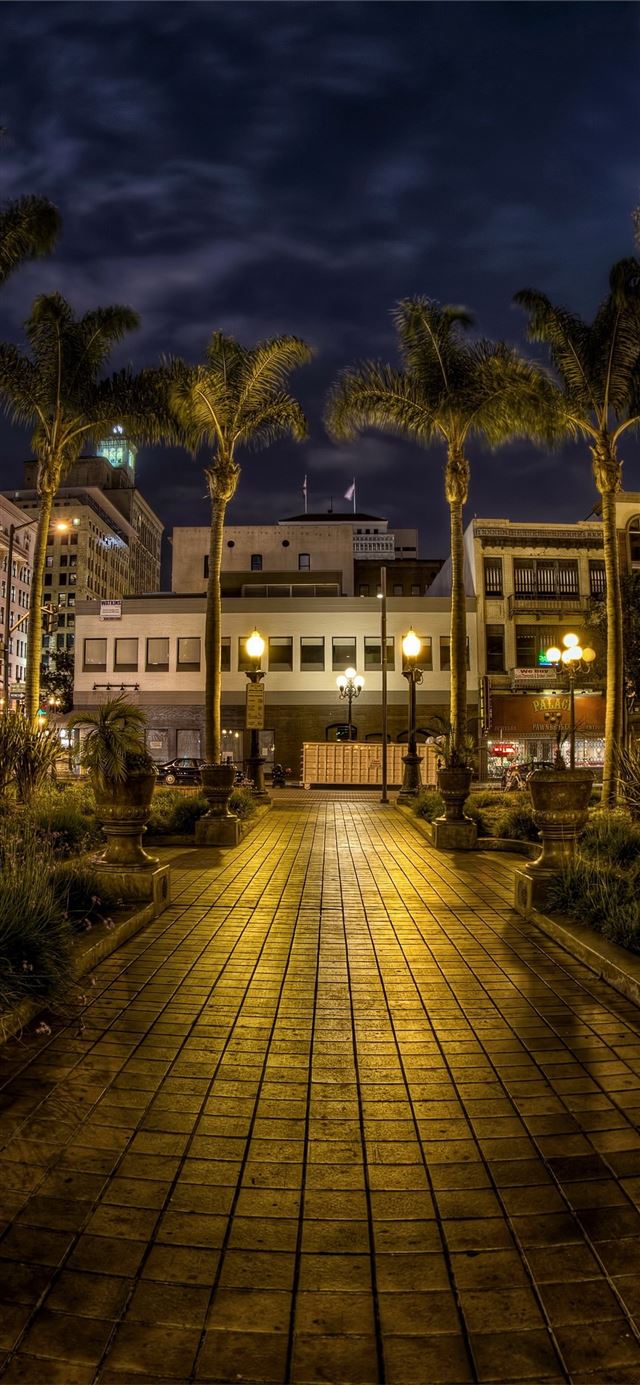 1125x2436 Usa San Diego California Trees Palms  -  iPhone X Wallpaper