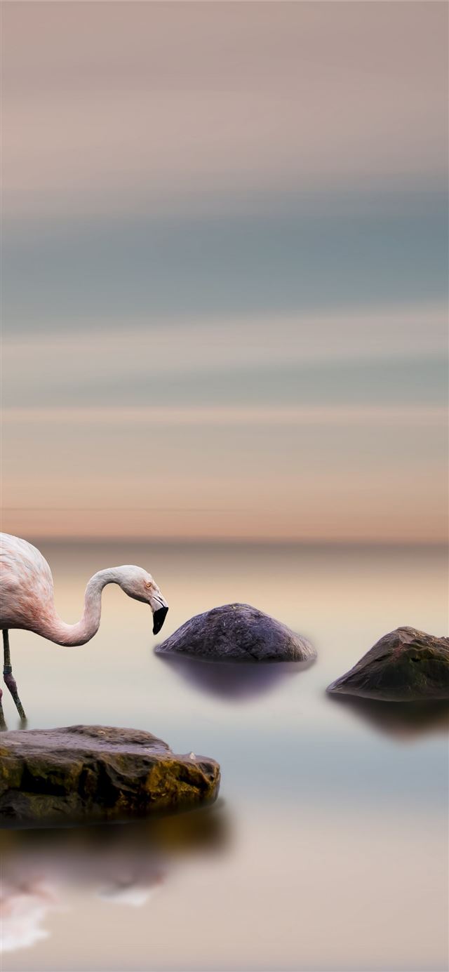 1125x2436 Li River - china iPhone X Wallpaper