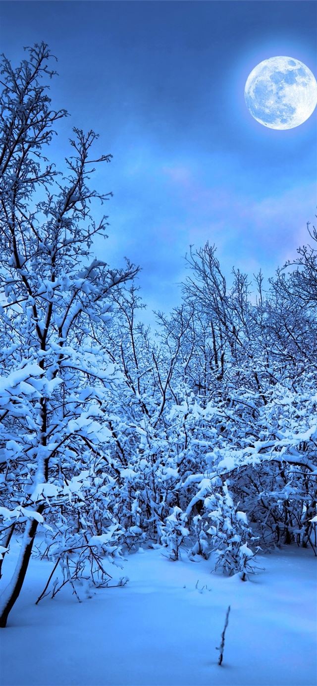 1125x2436 The Himalayas -  iPhone X Wallpaper