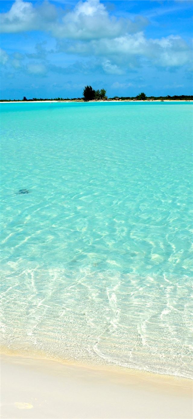 1125x2436 Whitehaven Beach - australia iPhone X Wallpaper