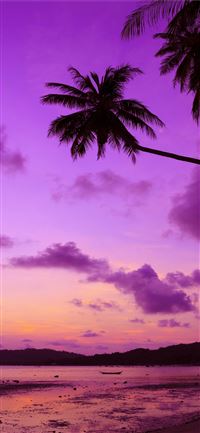 Galapagos Islands wallpaper