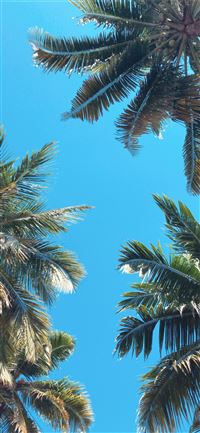 Kerala India wallpaper