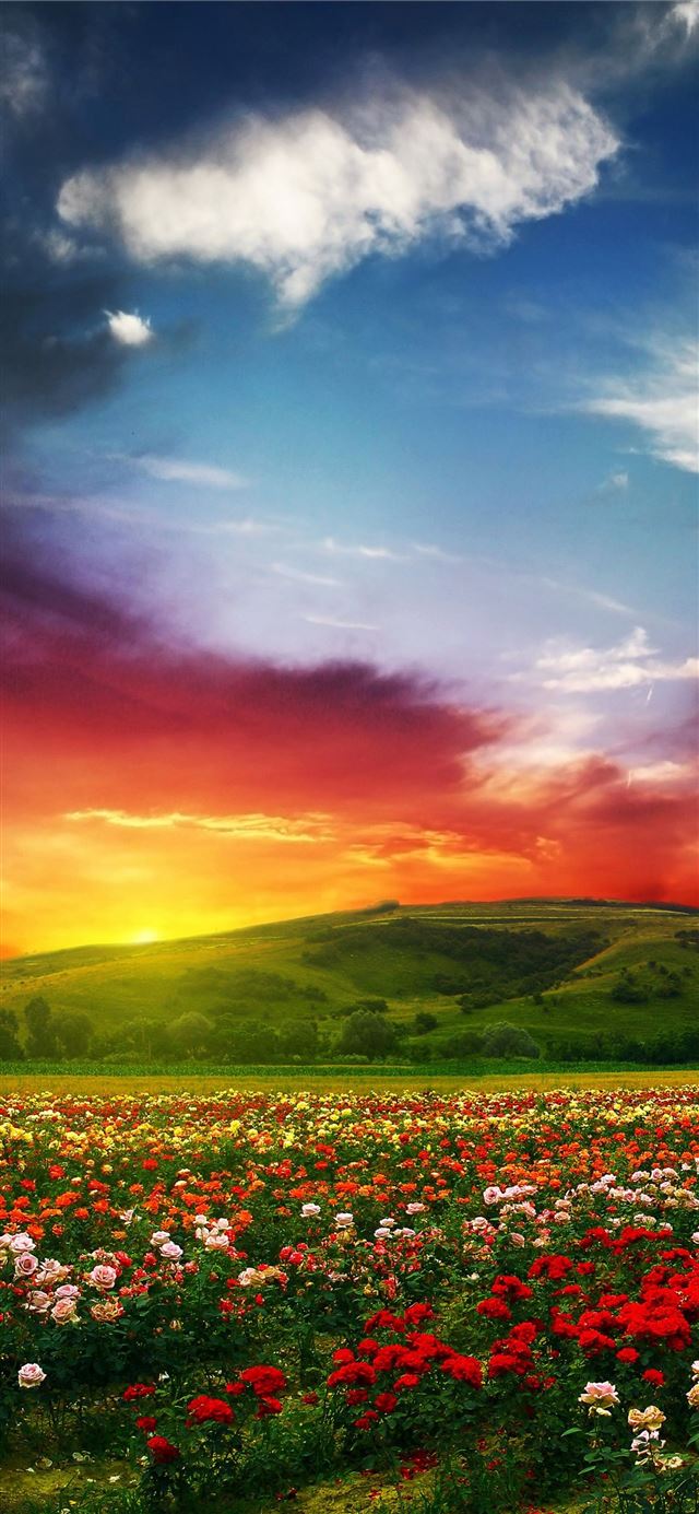 1125x2436 Kerala - kerala iPhone X Wallpaper