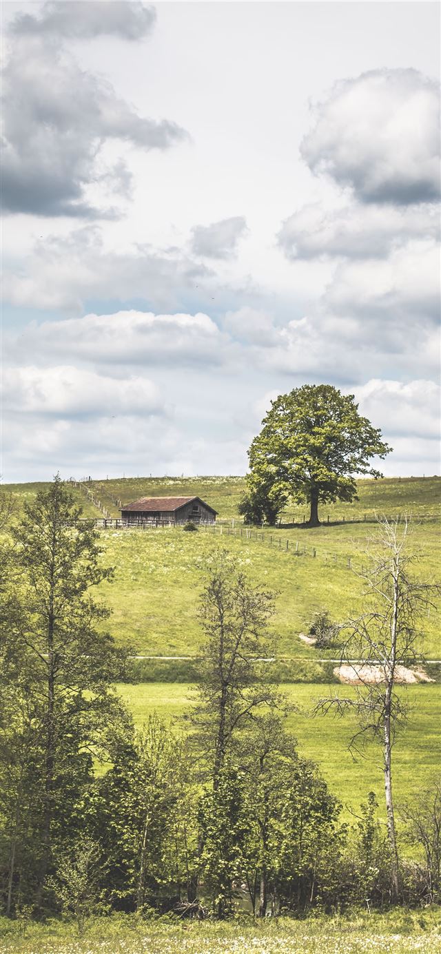 1125x2436 Giethoorn - netherlands iPhone X Wallpaper