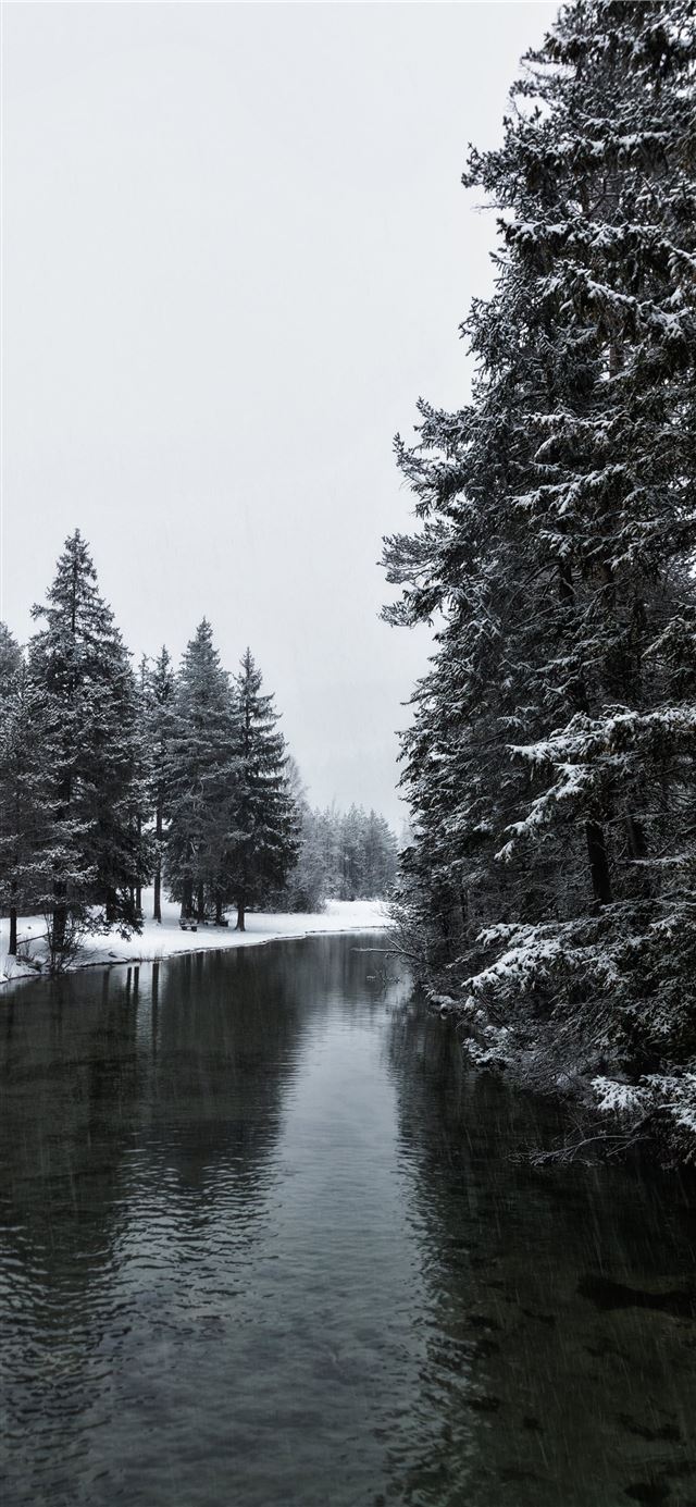 1125x2436 Yellowstone National Park - yellowstone national park iPhone X Wallpaper