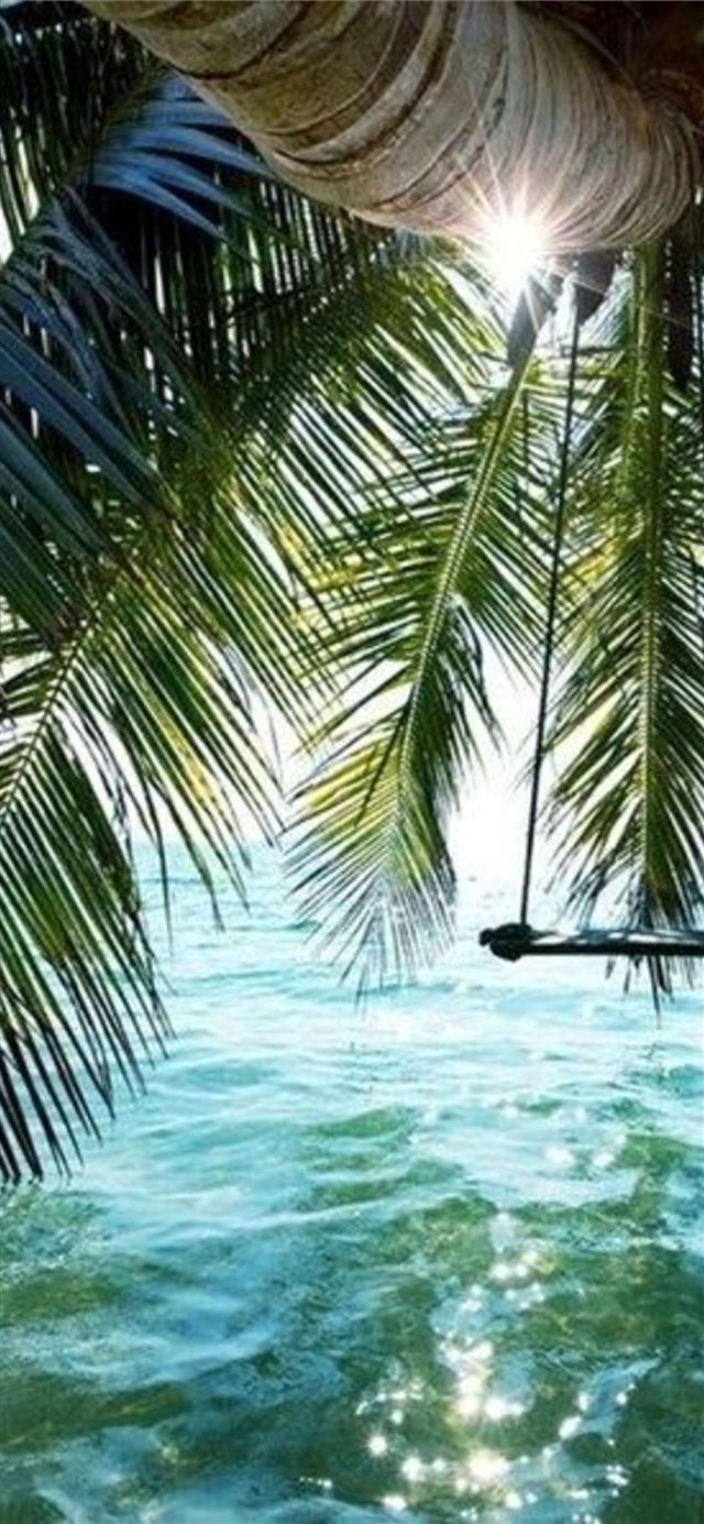 1125x2436 Phi Phi Islands - 100 most beautiful places to visit iPhone X Wallpaper