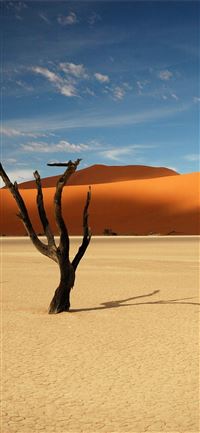 Namib Desert wallpaper