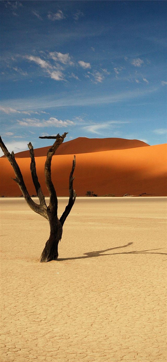 1125x2436 Namib Desert - namib desert iPhone X Wallpaper