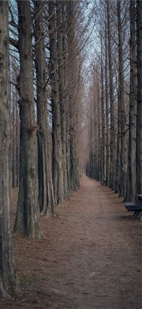 Plitvice Lakes National Park wallpaper