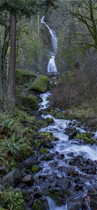 Angel Falls wallpaper