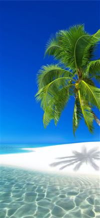Seychelles Resort Ocean Holiday Beach wallpaper