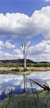 Trolltunga wallpaper