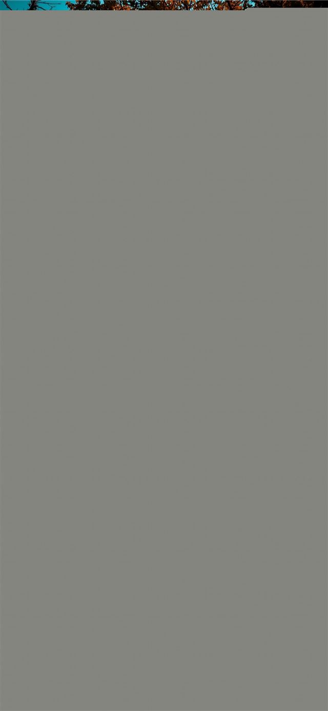 1125x2436 iguazu falls and background - iguazu falls iPhone X Wallpaper