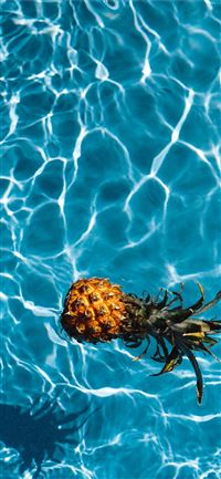 Pamukkale Thermal Pools wallpaper