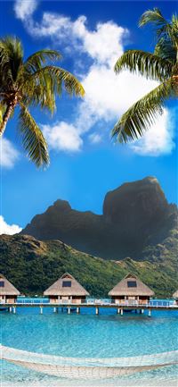 Beautiful Images Of Bora Bora Ecopetit cat wallpaper