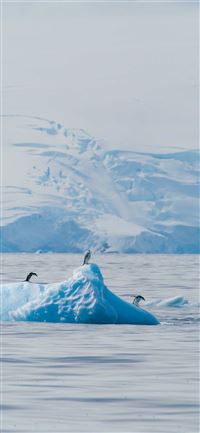 Antarctica Phone Cave wallpaper