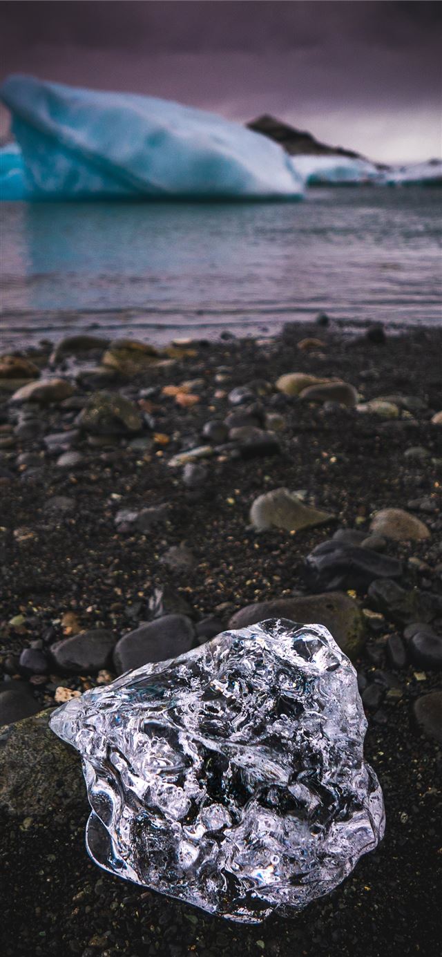 1125x2436 ice on rocky shore - bird iPhone X Wallpaper