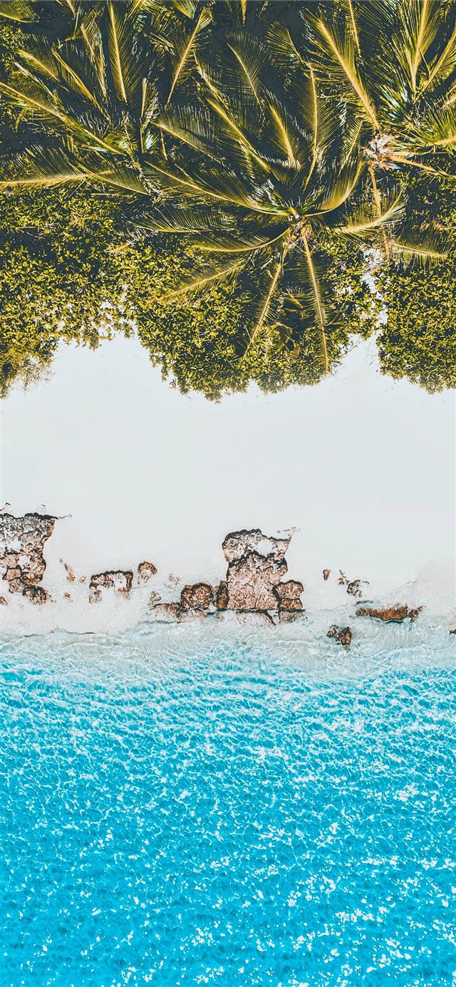 1125x2436 green trees on seashore - landscape iPhone X Wallpaper
