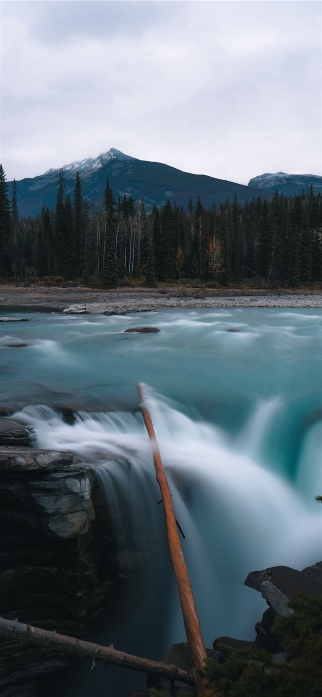 1125x2436 waterfall and trees under white sky - water iPhone X Wallpaper