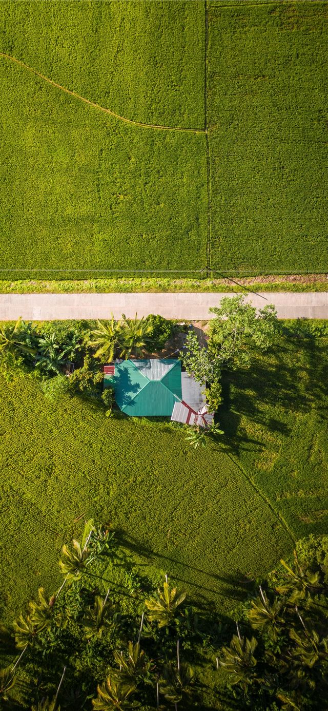 1125x2436 aerial view of green grass field during daytime - scenery iPhone X Wallpaper