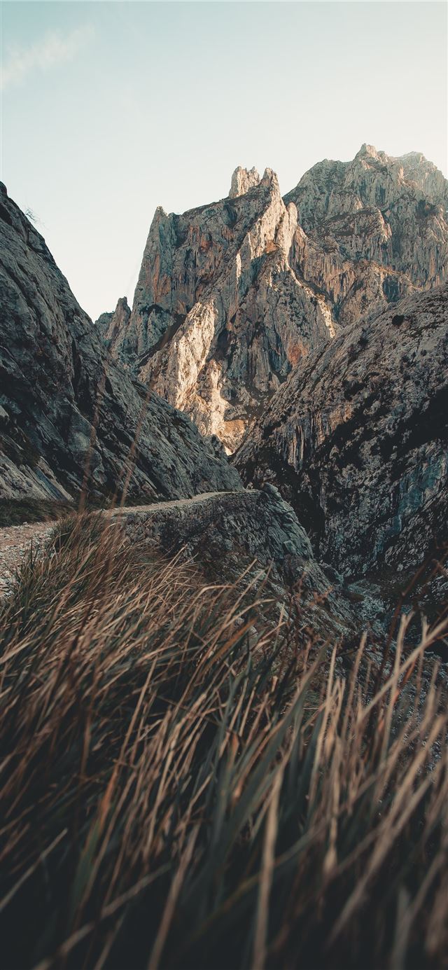 1125x2436 gray rocky mountain under white sky during daytime - scenery iPhone X Wallpaper