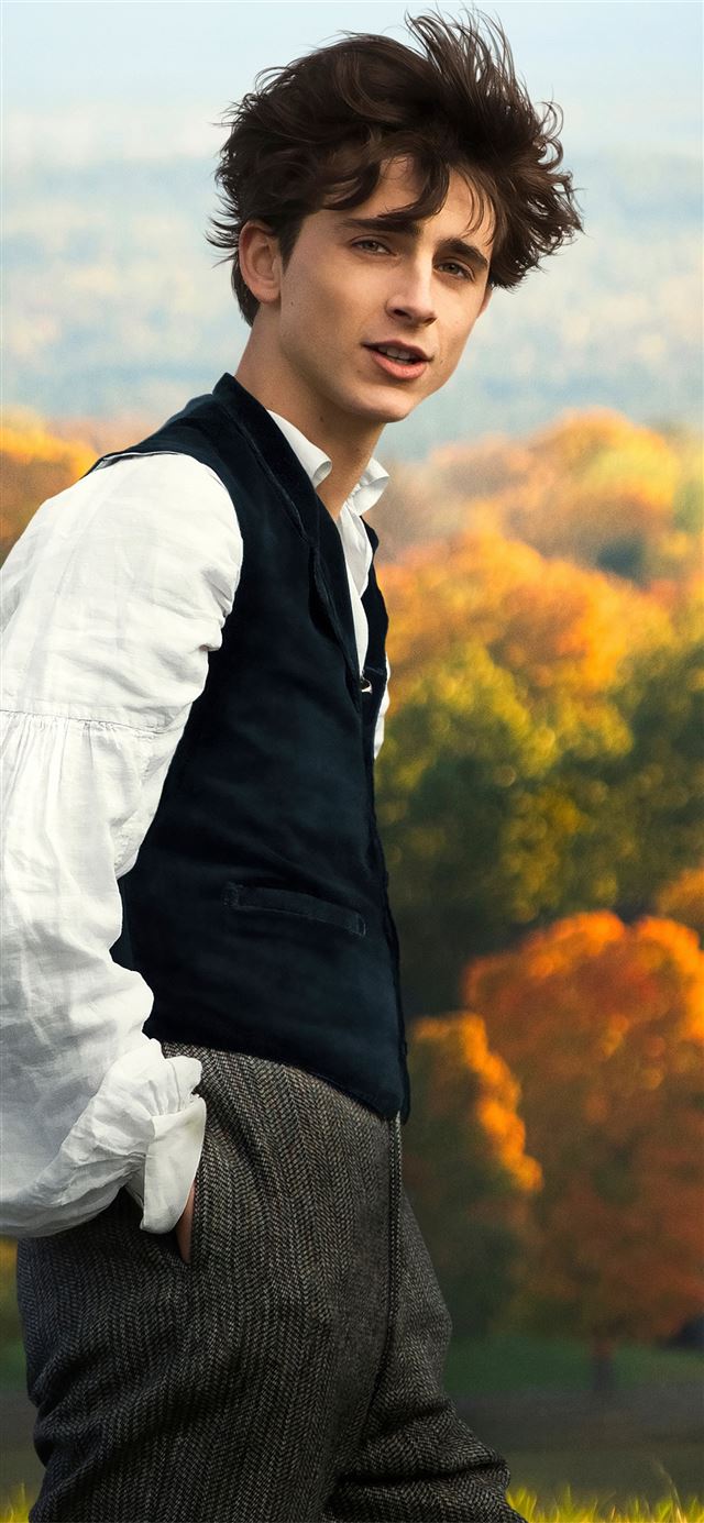 1125x2436 timothee chalamet in little women - 2019 movies iPhone X Wallpaper