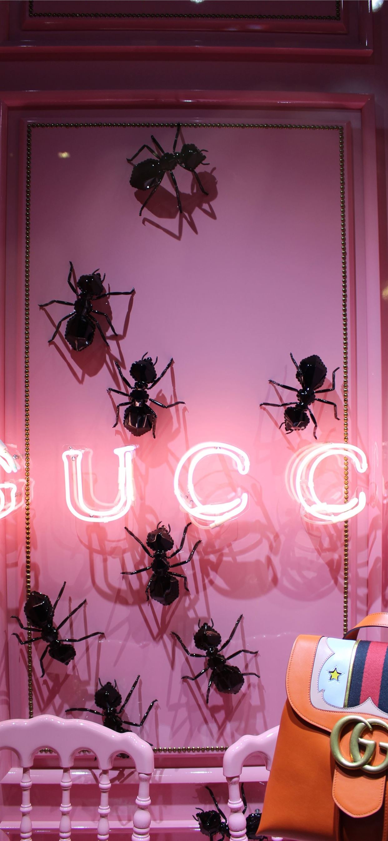 23 Gucci Wallpapers For Your Phone  myphonewalls