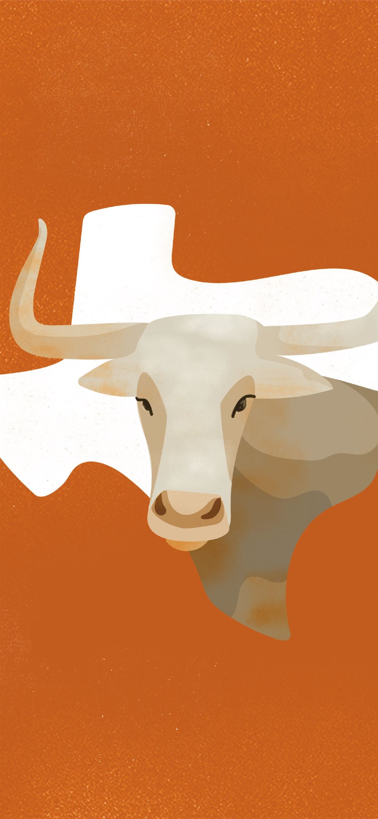 Longhorn Images  Browse 42809 Stock Photos Vectors and Video  Adobe  Stock