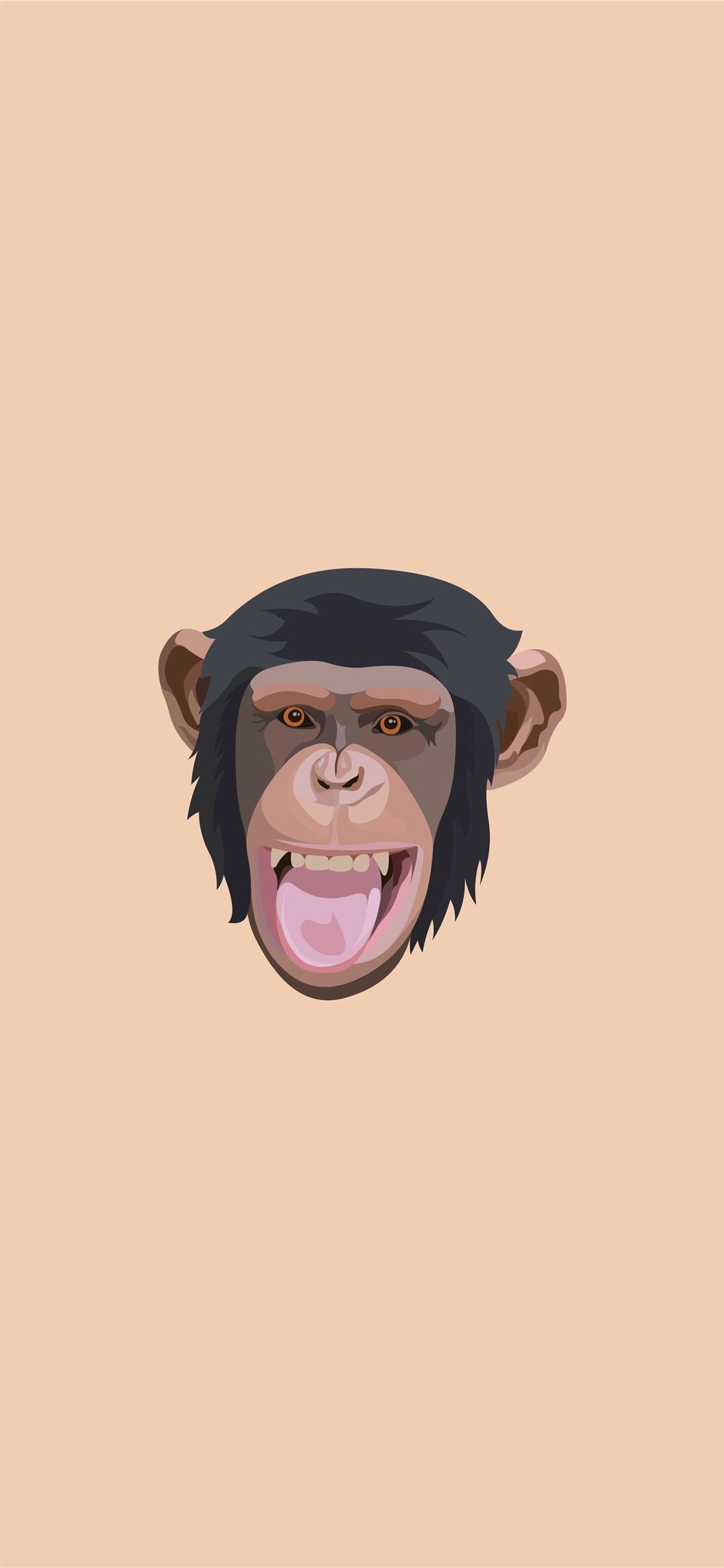 chimpanzee iPhone Wallpapers Free Download