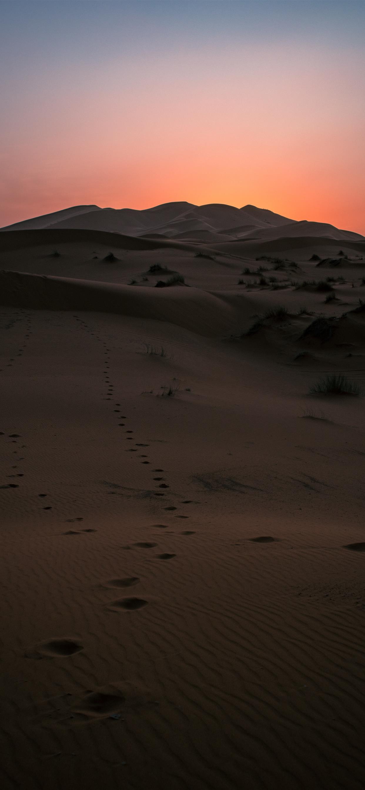 Walk Until Dawn HD Desert Sunset Wallpaper HD Artist 4K Wallpapers Images  and Background  Wallpapers Den
