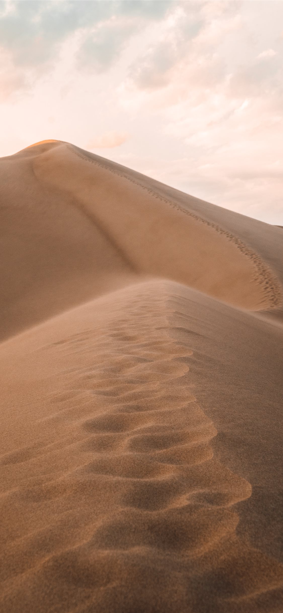 Sand dunes in Desert 4K Wallpapers | HD Wallpapers | ID #28431
