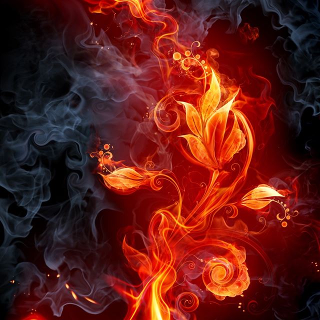 Fire Flowers iPad wallpaper 