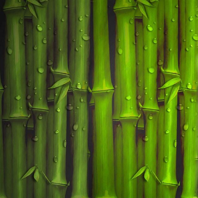 Vector Bamboo iPad wallpaper 