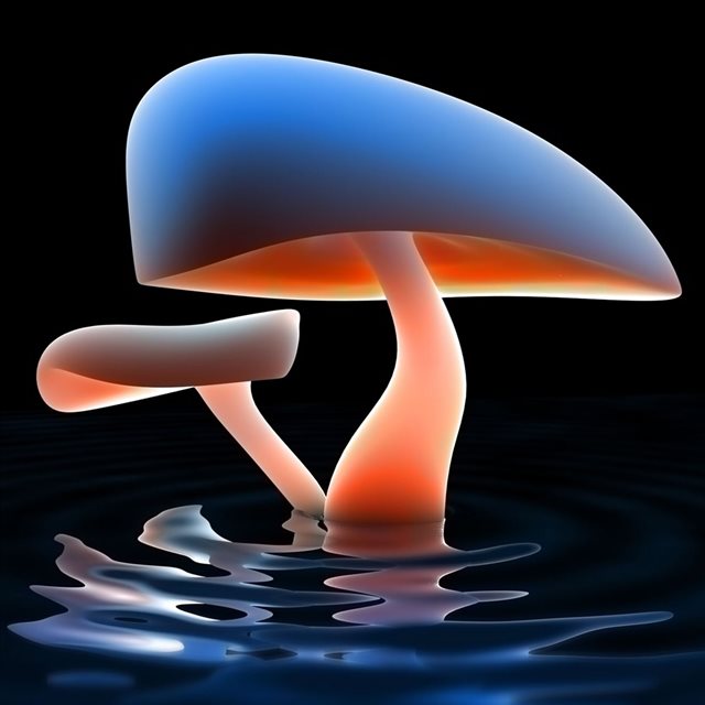 Mushroom Lake iPad wallpaper 